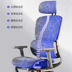 Ergonomic comfortable sedentary office chair with lumbar support