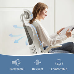 Ergonomic Adjustable Headrests, Lumbar Support Office Chair with Flip-up Arms