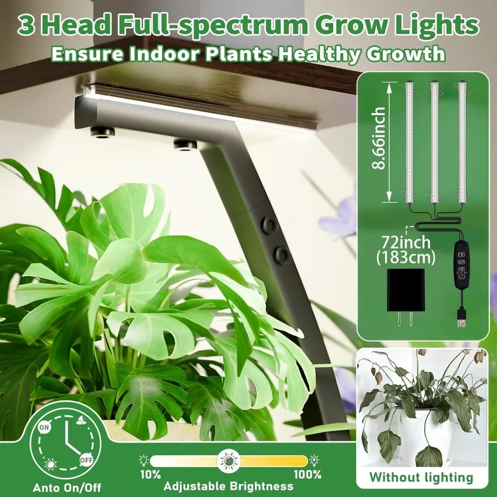6 Tiered Plants Shelf for Indoor Plants