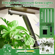 6 Tiered Plants Shelf for Indoor Plants