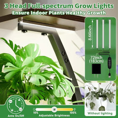 6 Tiered Plants Shelf for Indoor Plants