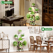 6 Tiered Plants Shelf for Indoor Plants
