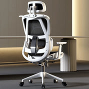 Ergonomic comfortable sedentary office chair with lumbar support