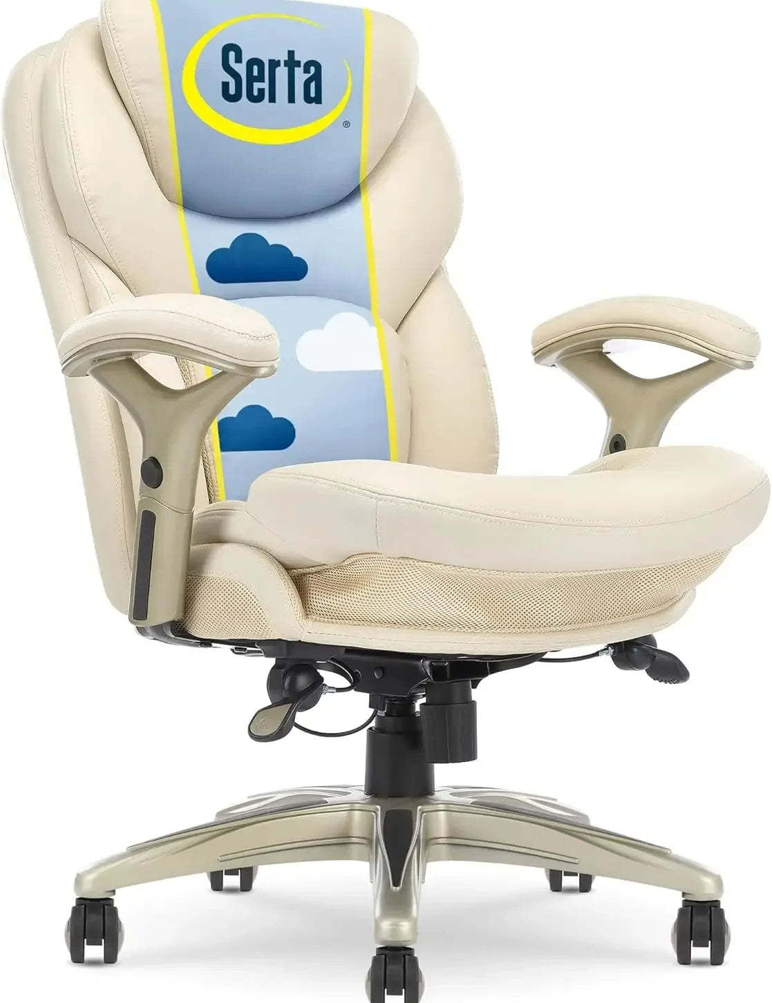 Ergonomic Adjustable Mid Back Desk Chair with Lumbar Support