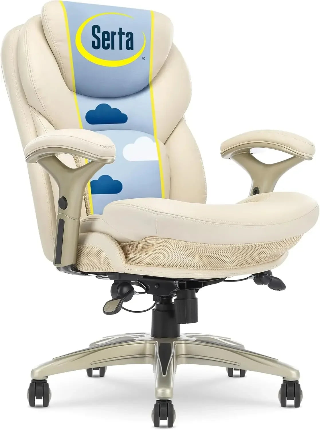 Ergonomic Adjustable Mid Back Desk Chair with Lumbar Support