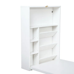 Modern Wall Mounted Folding Desk for Home Office with Storage