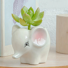 Creative Animal Ceramic Flowerpot - Sheep and Fox Design