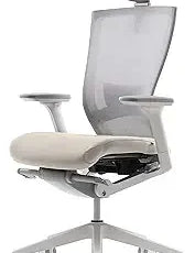 Ergonomic Office Chair with Adjustable Headrest, Lumbar Support, and 3D Armrest