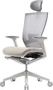 Ergonomic Office Chair with Adjustable Headrest, Lumbar Support, and 3D Armrest