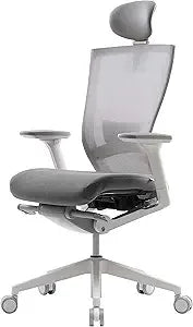 Ergonomic Office Chair with Adjustable Headrest, Lumbar Support, and 3D Armrest