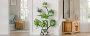 6 Tiered Plants Shelf for Indoor Plants