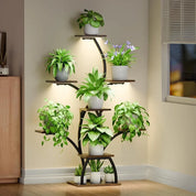 6 Tiered Plants Shelf for Indoor Plants