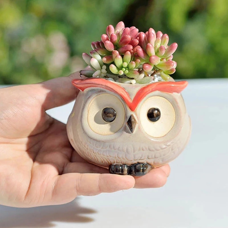 Cute Owl Ceramic Flower Pot - Adorable Succulent Planter