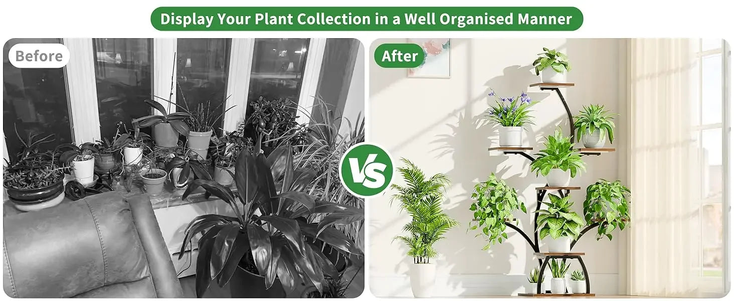 6 Tiered Plants Shelf for Indoor Plants