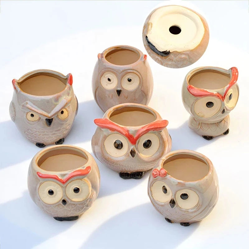 Cute Owl Ceramic Flower Pot - Adorable Succulent Planter