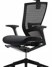 Ergonomic Office Chair with Adjustable Headrest, Lumbar Support, and 3D Armrest