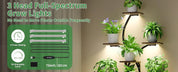6 Tiered Plants Shelf for Indoor Plants