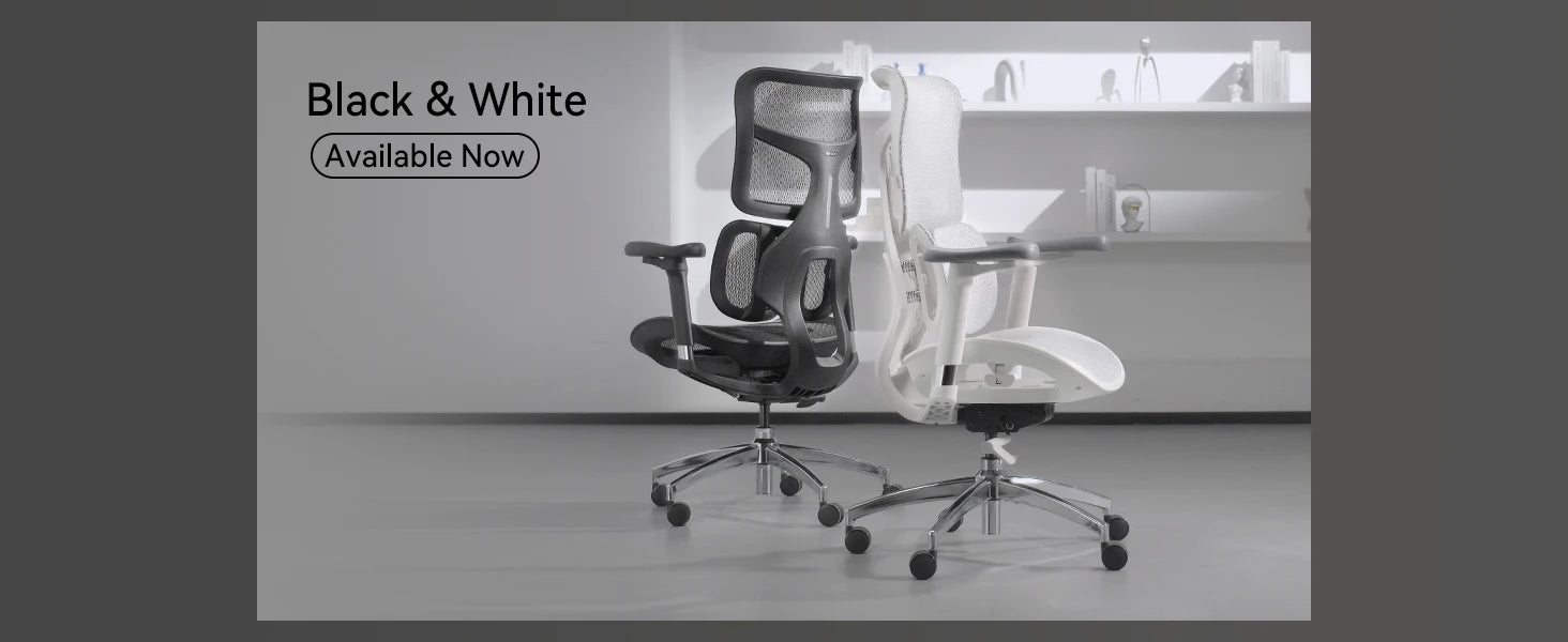 Office Chair with Dual Lumbar Support 5-Level Adjustable Backrest