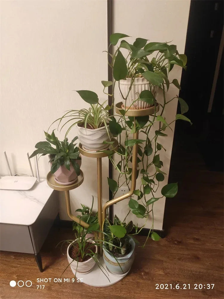 Eisen Indoor Balkon Blumenregale Wohnmöbel Bodentyp Blumentopf Ständer Wohnzimmer Mehrschichtiges Pflanzenregal S