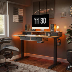 48 x 24 Electric Standing Desk Adjustable Height with 4 Drawers, Sit Stand Desk with Storage Shelf, Rising Desk with Splice Boa