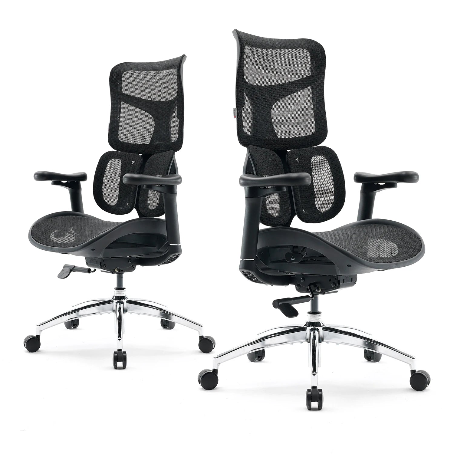Office Chair with Dual Lumbar Support 5-Level Adjustable Backrest