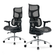 Office Chair with Dual Lumbar Support 5-Level Adjustable Backrest