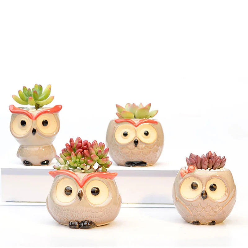 Cute Owl Ceramic Flower Pot - Adorable Succulent Planter