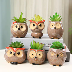 Cute Owl Ceramic Flower Pot - Adorable Succulent Planter