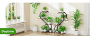 Indoor 4 Tiered Metal Plant Stand with Grow Light