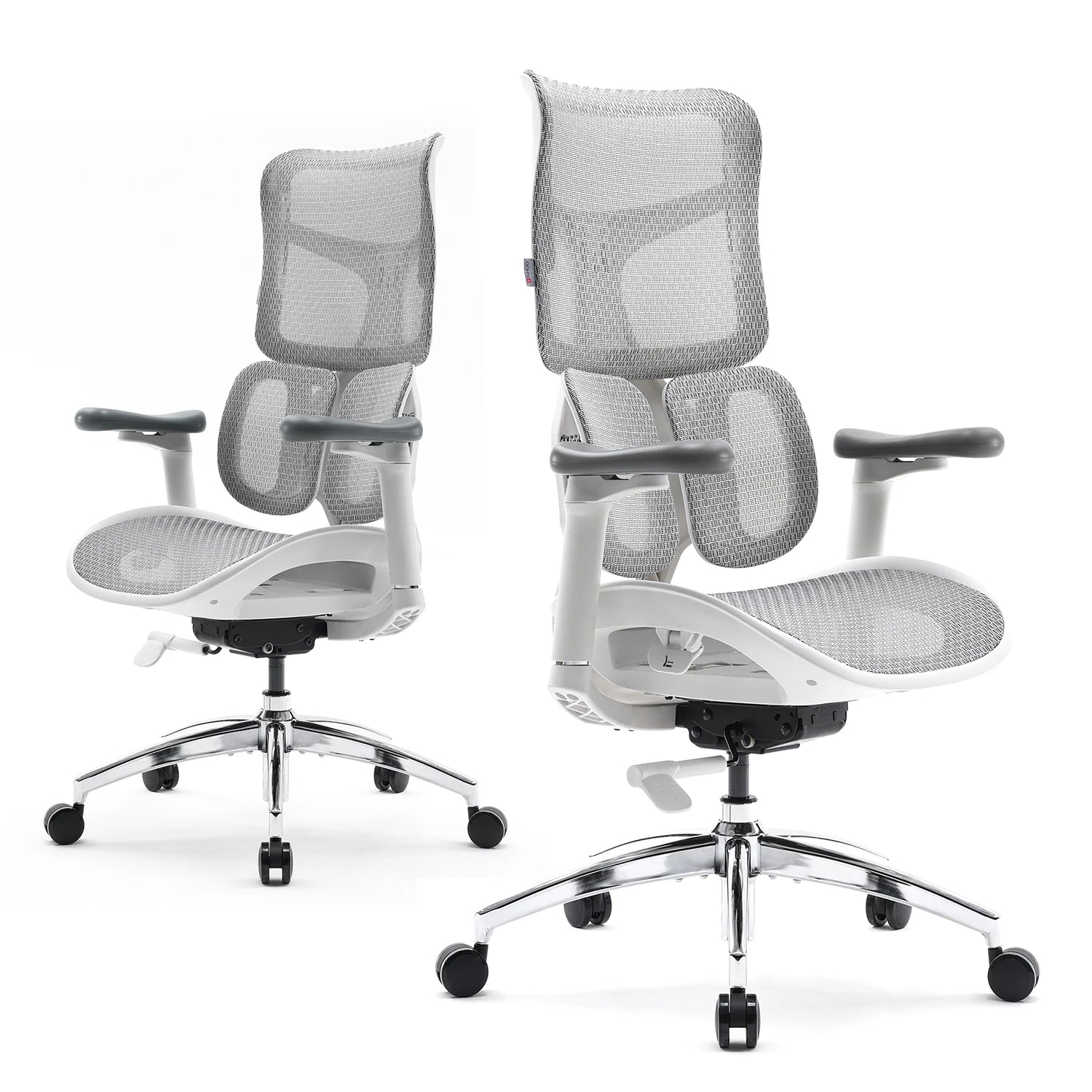 Office Chair with Dual Lumbar Support 5-Level Adjustable Backrest