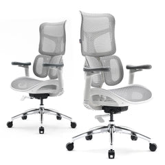 Office Chair with Dual Lumbar Support 5-Level Adjustable Backrest