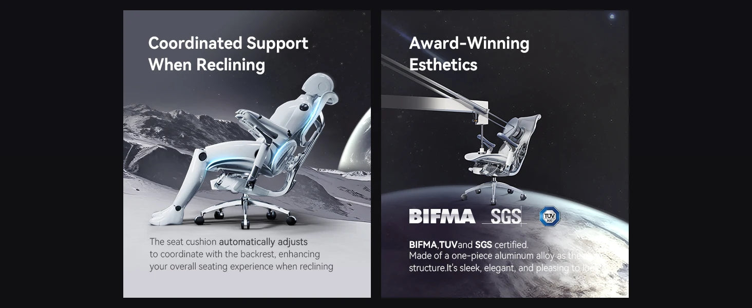 Office Chair with Dual Lumbar Support 5-Level Adjustable Backrest