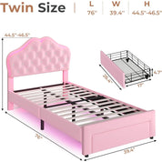 FurnishSpot Twin Size LED Upholstered Platform Bed for Girls, Adjustable Velvet Crystal Button Headboard with Storage Drawer
