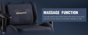 Gaming Chair with Massage Lumbar Support