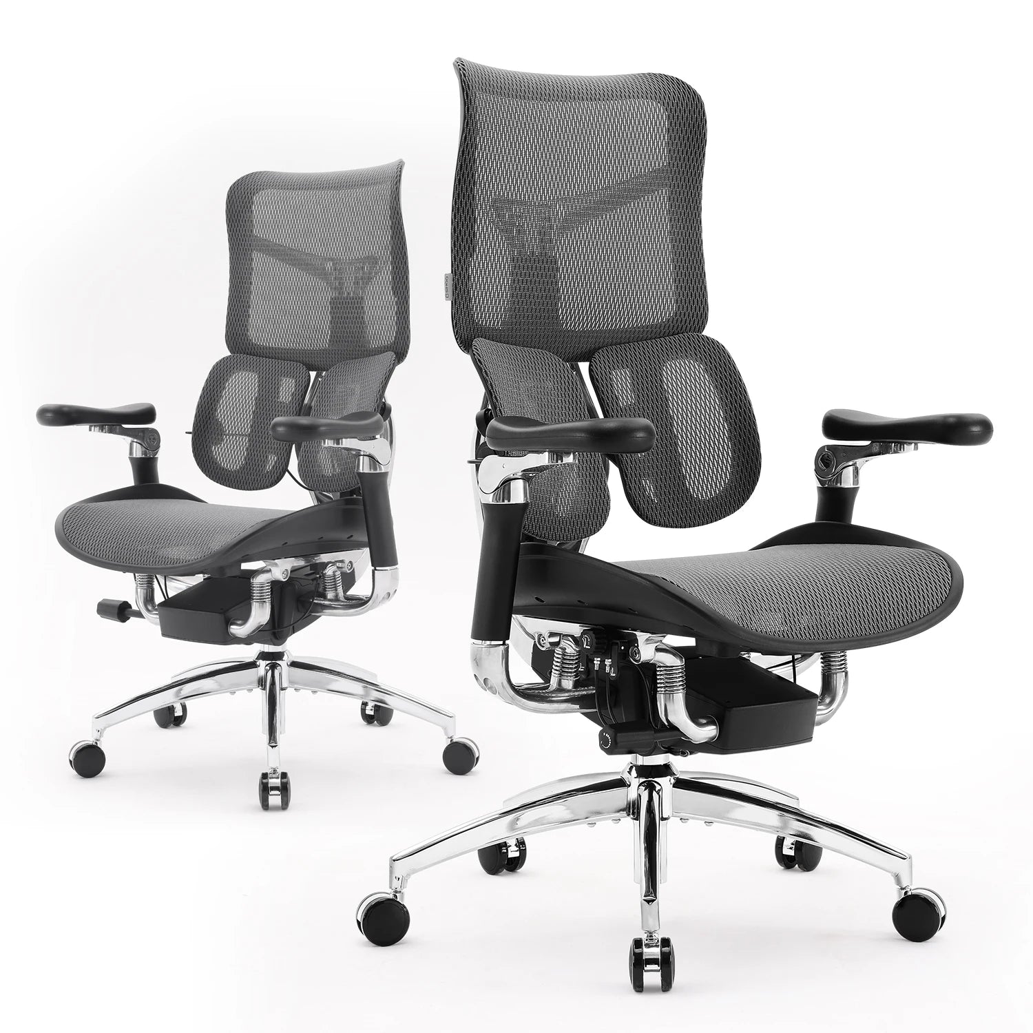 Office Chair with Dual Lumbar Support 5-Level Adjustable Backrest