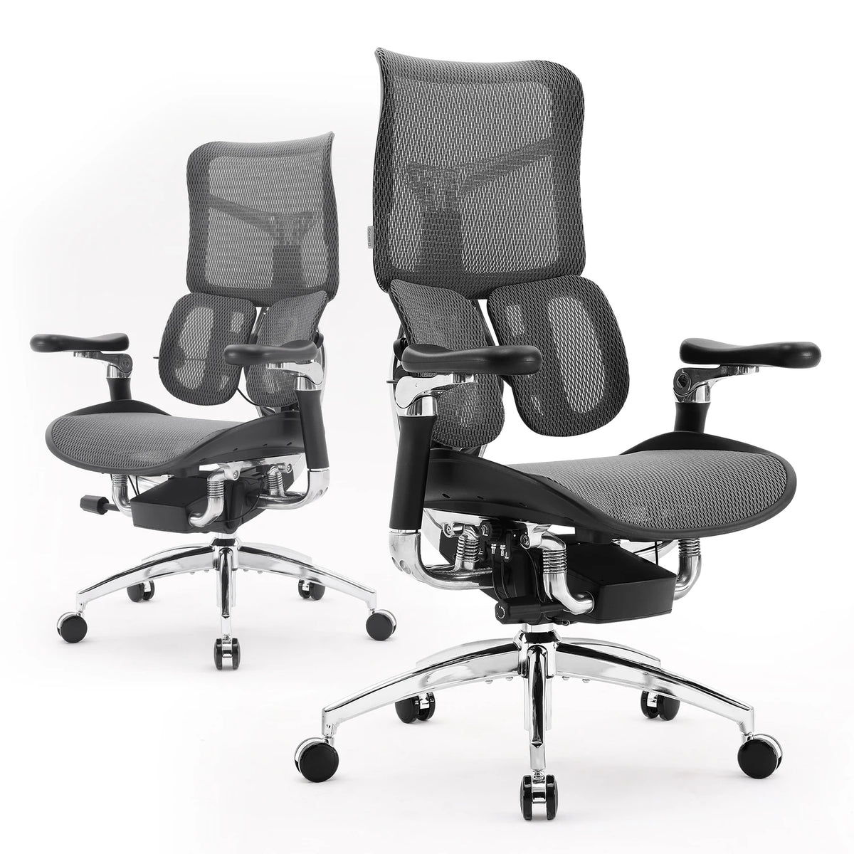 Office Chair with Dual Lumbar Support 5-Level Adjustable Backrest