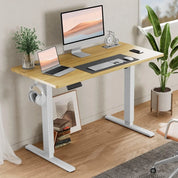 Standing Desk, Adjustable Height Electric Sit Stand Up Down Computer Table, 55x24 Inch Ergonomic Rising Modern Lift Motorized Ga
