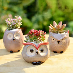 Cute Owl Ceramic Flower Pot - Adorable Succulent Planter