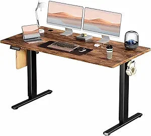 Standing Desk, Adjustable Height Electric Sit Stand Up Down Computer Table, 55x24 Inch Ergonomic Rising Modern Lift Motorized Ga