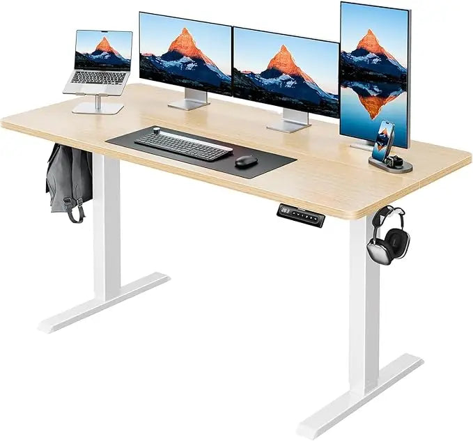 55" x 24" Electric Standing Desk Adjustable Height, 4 Memory Height Settings, Headphone Hook, Cable Manager, Sit Stand Up Desk